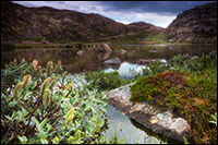 Лена Павлова. Фотопутешествия