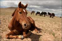 Лена Павлова. Фотопутешествия
