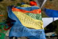 Лена Павлова. Фотопутешествия