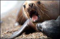 Лена Павлова. Фотопутешествия