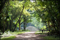 Лена Павлова. Фотопутешествия