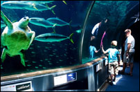 Лена Павлова. Фотопутешествия