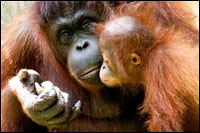 Лена Павлова. Фотопутешествия