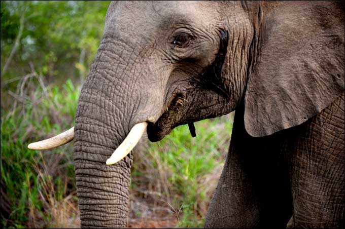 Фотопутешествия в Непал