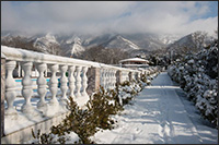 Лена Павлова. Фотопутешествия